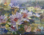 Water Lilies Blank Cards by Ellen Jean Diederich Givinity Press Meditati... - £7.35 GBP