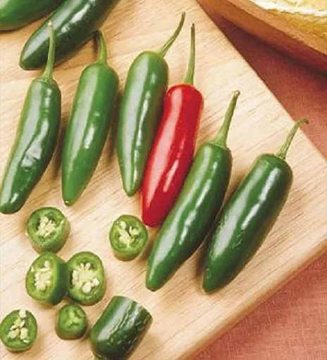 300 Serrano Hot Chili Pepper Seeds Peppers Fresh - £7.85 GBP