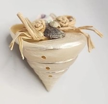 Vintage Trochus Seashell Shell Embellished Ornament Nautical Abt - $19.99