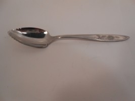 Nasco Stainless Korea - TEMPTATION - 1 Grapefruit Spoon - $7.70