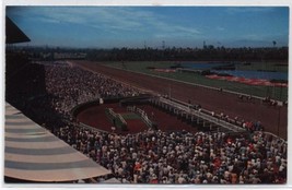 Hollywood Park Horse Racetrack~Inglewood,California Postcard - £5.63 GBP