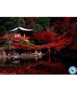 Magical Nature Reiki - $3.43 CAD