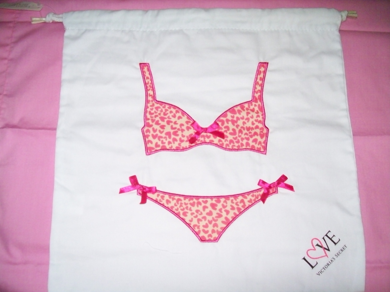 Victoria's Secret Swimsuit Travel Bag & NNN Lingerie Zippered Mesh Laundry Bag - $14.95