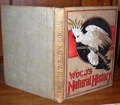 Wood&#39;s Natural History (1899 hardcover) by Rev J. G. Wood - $60.00