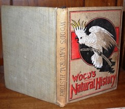 Wood&#39;s Natural History (1899 hardcover) by Rev J. G. Wood - £46.93 GBP