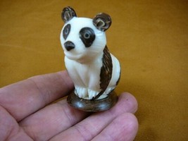 (TNE-BEA-PA-634-b) Giant Panda BEAR TAGUA NUT Figurine Carving Vegetable... - £24.10 GBP