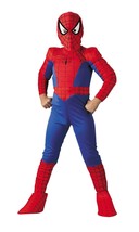 Spider-Man Marvel Superhero Comics TV Movie Character Child Costume Large 12-14 - £34.84 GBP