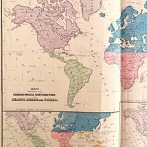 Map Of The World 1884 Beast Birds Fish Distribution Victorian Lithograph DWP3D - £47.67 GBP