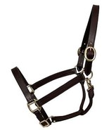 English or Western Small Pony size Horse Leather Turnout Halter Havana B... - £21.11 GBP