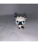 Hasbro LPS Littlest Pet Shop Magic Motion Siamese Kitty Cat Figure - £10.20 GBP