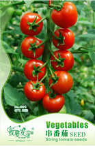 25 Seeds Red Truss Tomato Plant Fruits Gardening USA Seller - $7.22