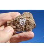COFFINITE URANIUM ROCK   1.9 OZ 33,200. CPM  JURASSIC CANYON  $23.00 +$9... - $23.00