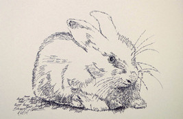 Bunny Rabbit Art Print #21 by Stephen Kline DRAWING FROM WORDS Great Gift - £39.87 GBP
