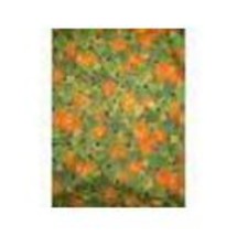 Pumpkin Patch Quilt Fabric Cranston V.I.P. Oop - $28.00