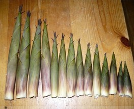 30 Seeds / Pack Heirloom Chinese Thin Bamboo Shoots, Crisp Tasty Vegetables - £23.12 GBP