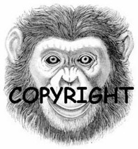 MONKEY FACE new mounted rubber stamp - £6.29 GBP