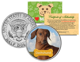 DACHSHUND * Dog * JFK Kennedy Half Dollar U.S. Colorized Coin *Limited Edition* - £6.81 GBP
