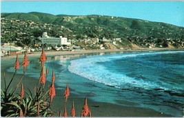 Laguna Beach at Christmastime Heisler Park California Postcard - £7.78 GBP