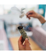 220 SMUDGING SAGE Seeds Artemisia Tridentata Vaseyana Big Mtn. White Sag... - $5.38