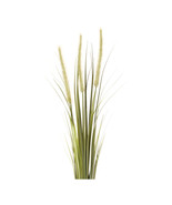 Foxtail Bush (Set of 6) - €50,93 EUR