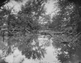 View of Stream Battlefield Bull Run Manassas Virginia 8x10 US Civil War Photo - £6.94 GBP