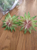 Pier 1 Succulents Set Of 2 Artificial Flowers-Brand New-SHIPS N 24 HOURS - £15.38 GBP