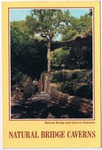 Postcard San Antonio New Braunfels Texas Natural Bridge Caverns - $4.94