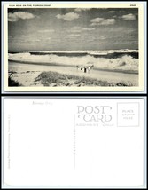 FLORIDA Postcard - High Seas On The Florida Coast F46 - £2.35 GBP