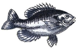 Nature&#39;s Bounty Beautiful Custom Fish Sketch[Bluegill Fish ] Embroidered Iron On - £8.19 GBP