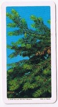 Brooke Bond Red Rose Tea Card #9 Eastern Hemlock Trees Of North America - £0.76 GBP