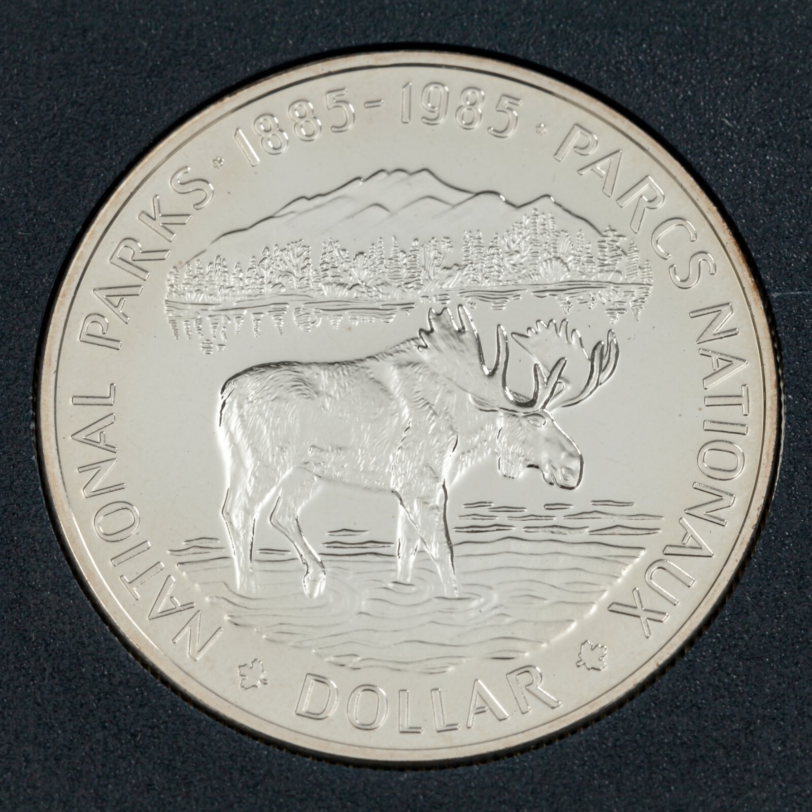 1985-2001 Canada 5 Cents-Dollar Collection Full Of 8-
show original title
Or... Item image 6
