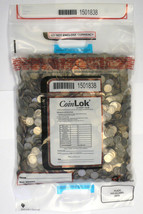 CoinLOK 13.5 x 26 Coin Deposit Bag, 250 Bags - $216.44