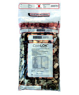CoinLOK 12 x 25 Coin Deposit Bag, 250 Bags - $239.63 CAD