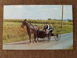 Vintage Postcard Amish Country, Lancaster, PA, Horse And Buggy - £2.35 GBP