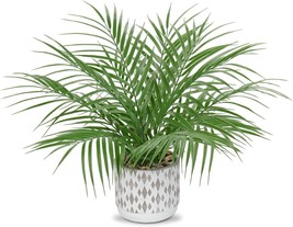 Hollyone Large Artificial Potted Plants Fake Palm Plants 16&quot; Faux Green Plant - £33.91 GBP