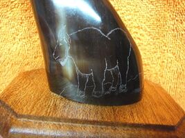 ak-moose-103) GENUINE MOOSE HOOF Goat etched display Alaskan Eskimo art ... - $102.69