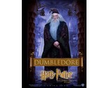 2001 Harry Potter And The Sorcerers Stone Movie Poster Print Dumbledore  - $7.08