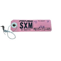 Prinair Puerto Rico International Airlines flown baggage tag St. Maarten... - $20.53 CAD