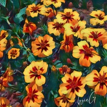 Marigold French Naughty Marietta 100 Seeds Herb &amp; Edible Flower Tagetes ... - £19.44 GBP