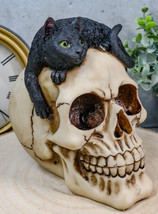 Ebros Witching Hour Black Mystical Cat Perching On Skull Macabre Figurine - £18.37 GBP