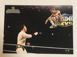 Sheamus Trading Card WWE Champions 2011 #24 - £1.48 GBP