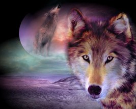 Metaphysical WEREWOLF Female Shape Shift power Cherokee  Werewolf Amazing - $37.39