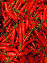 Thai Pepper - Capsicum frutescens L. 20 Seeds - £11.84 GBP
