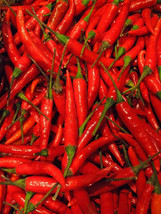 Thai Pepper - Capsicum frutescens L. 20 Seeds - $14.99