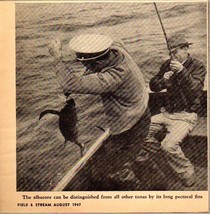 1947 Magazine Photo Men Fishing Catch Albacore Tuna in Boat - $9.25