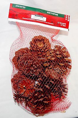 Pinecones Ashland Christmas Unscented Bag Of Around 12ea USA Decorations 45D - $4.49