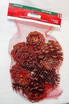 Pinecones Ashland Christmas Unscented Bag Of Around 12ea USA Decorations 45D - £3.55 GBP