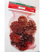 Pinecones Ashland Christmas Unscented Bag Of Around 12ea USA Decorations... - £3.50 GBP