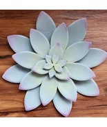 Hanging ~ Detailed ~ Metal Wall Flower ~ Door Hanger ~ 14&quot; Dia. ~ GREEN ... - $49.15 CAD