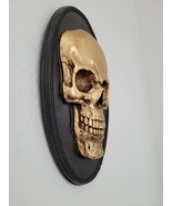 Halloween 3D Gold Skull Resin Wall Sign Prop Home Decor 12&quot; - £26.36 GBP